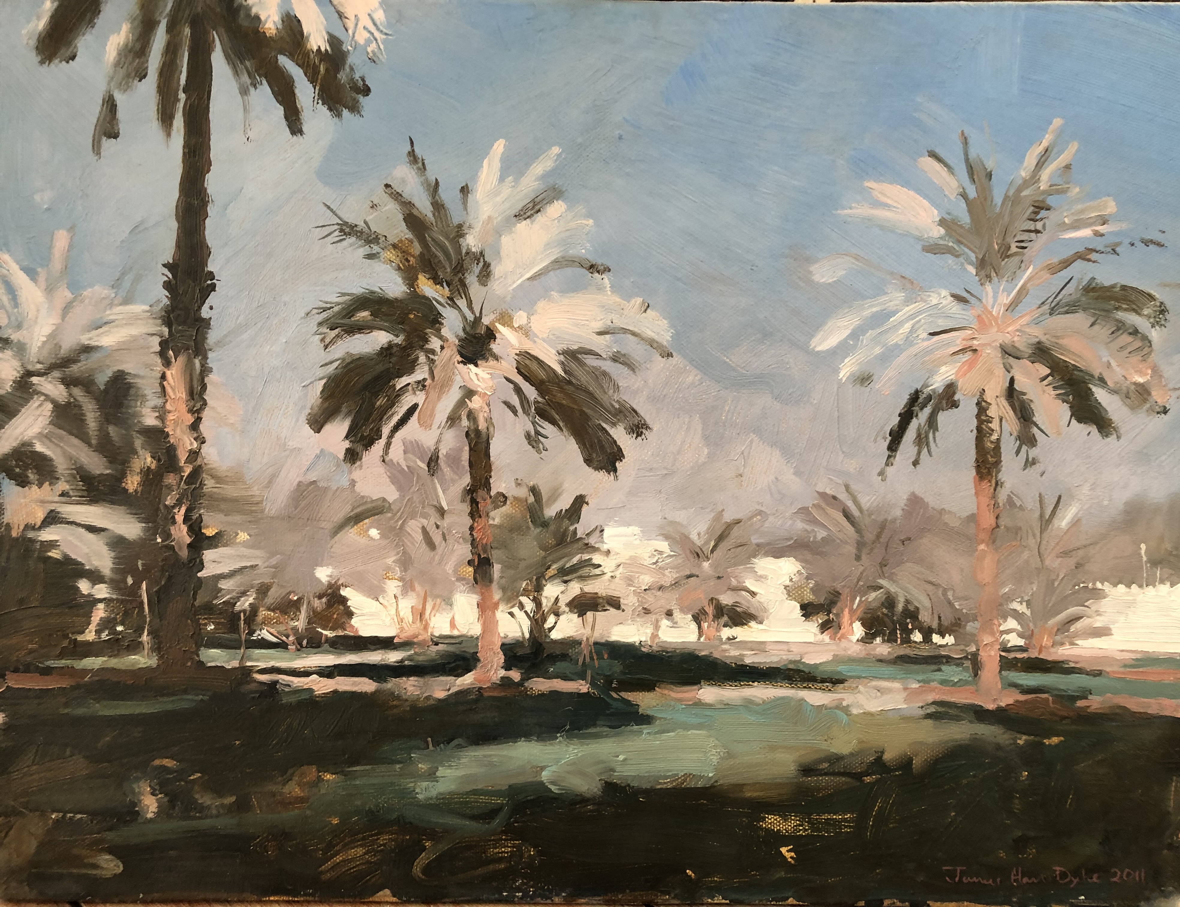 Palms, Saudi Arabia 2011